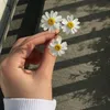 zoza__2003