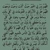 amand016