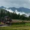 maysamnl