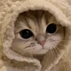 jolyjaber