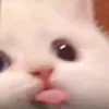 sa3hki