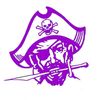 purplepir8