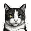 snow.thecat.lb