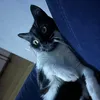 miumiluhotmailit