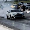 trolling_for_burnouts