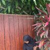 hamidahshop1