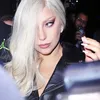 queenoflipo