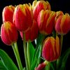 ishwarya_harsha