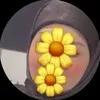 zmaghf