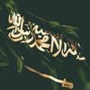 stc123456789