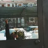 lahr_sofia