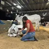 dayrellolivia