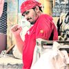 saleemwafa81