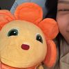 pelin P nya pelocity