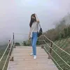 nongdao9