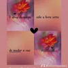 eduardapaula63