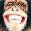 Humor Smiley all day