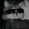 wtf.rullll