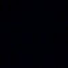 bili__losar