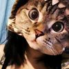 catttink_