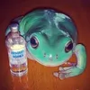 frogfrobfrog