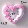 user70880073
