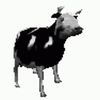 cow_chan_