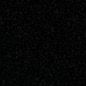 user89919282891919