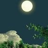 muhammadasif55776