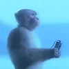 wiktor__bembnista
