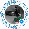 alikamal4758