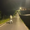 _gargia
