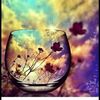 dareenahmad45