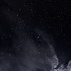 someone_54