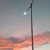 _rizalll_50