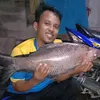 adifishmasay