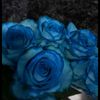 naxcivan_85_68