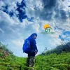 doantrangtravel