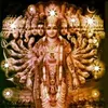 sushseala