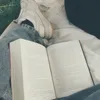 ali.damiani