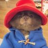 mr.betterlooking