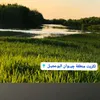 manafaliraqi