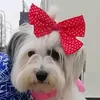 lucy_felow_swetkey