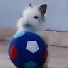 manuuuuuu.ciau