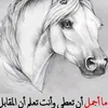 user3286495500022