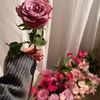 re_xx223