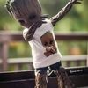 iamgroot2327