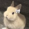 btswhappy