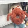 dontbringmeroses