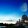ahmed.zeynudein